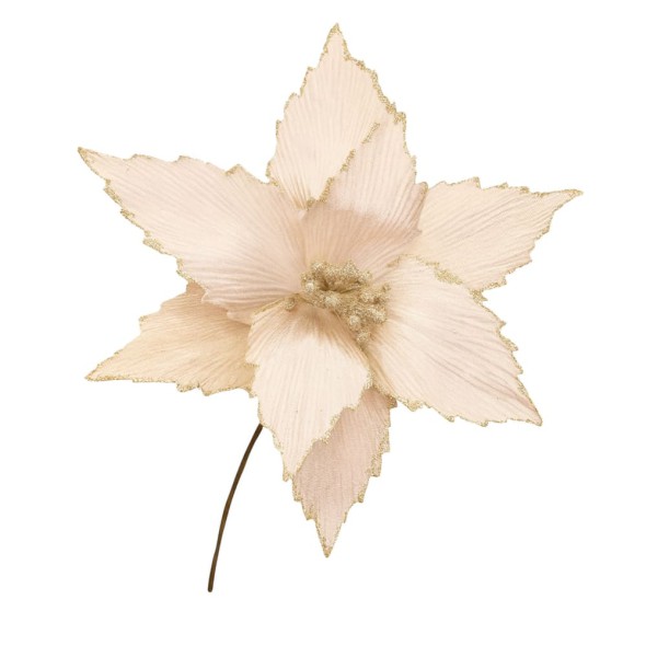 Flor Navideña Poinsettia Terciopelo 24 cm Champagne para Decoración