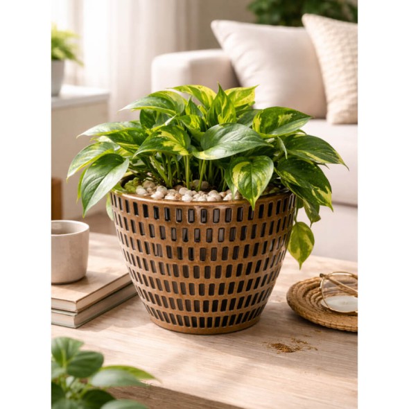 maceta redonda 18 cm envejecida decorativa para plantas